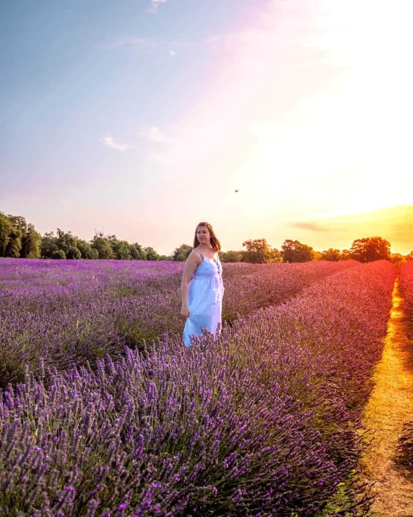 mayfield lavender farm london