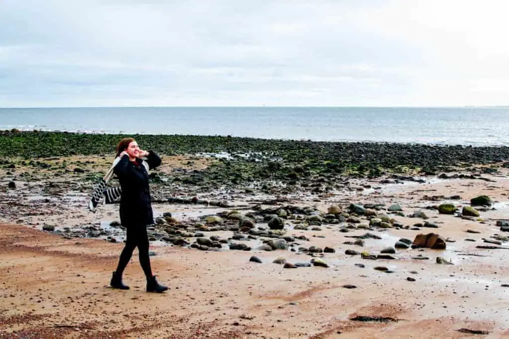 Rabbies Tours Inverness Review Black Isle Voyaging Herbivore