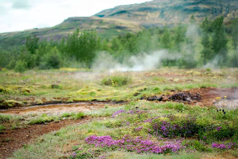 iceland geyser landscape