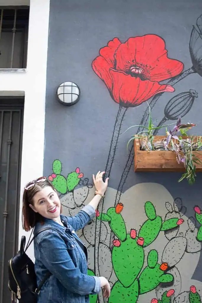 Catania sicily flower wall art