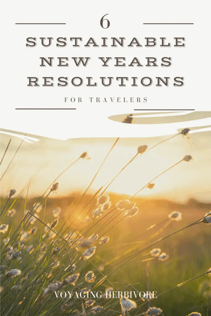 6-Sustainable-new-years-resolutions-for-travelers-pinterest