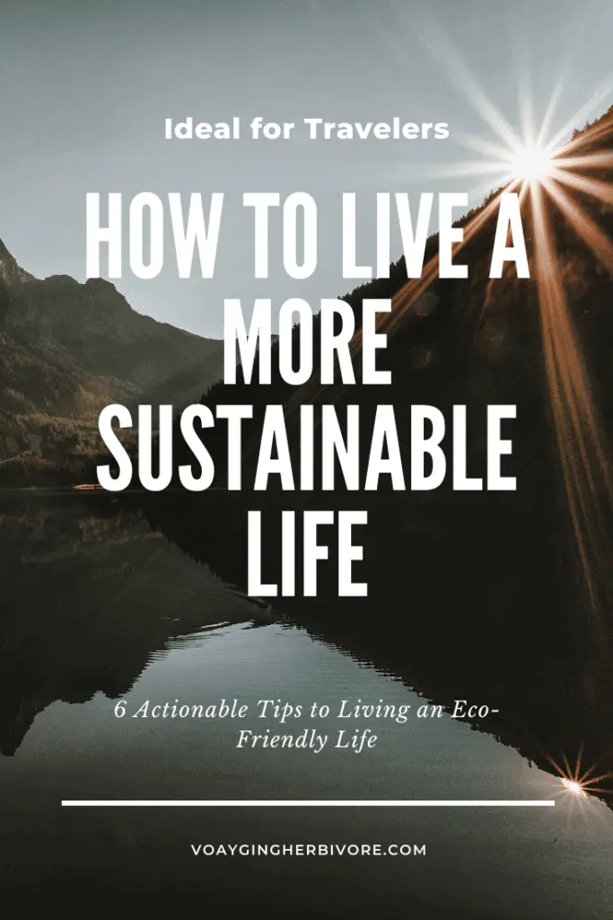 how-to-live-a-sustainable-life-new-years-resolutions-pinterest