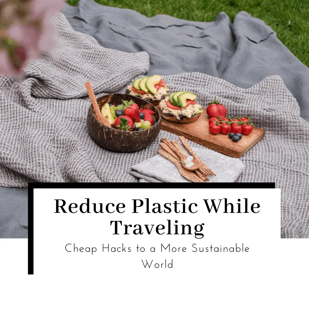 10 Cheap & Easy Ways to Reduce the Use of Plastic | Travel Edition