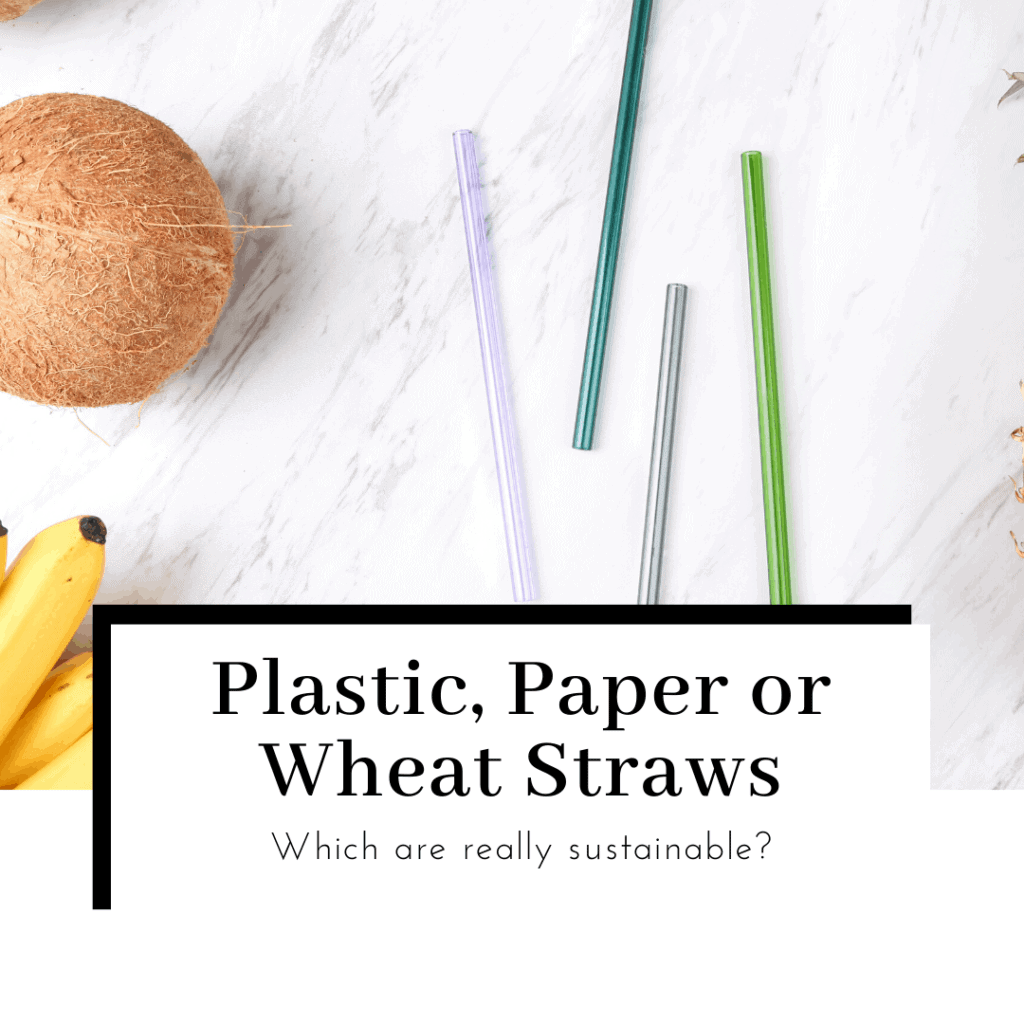 plastic-paper-or-wheat-straws-which-is-more-sustainable-featured-image