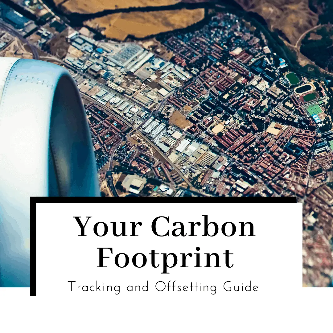 How to Track and Offset Your Carbon Footprint