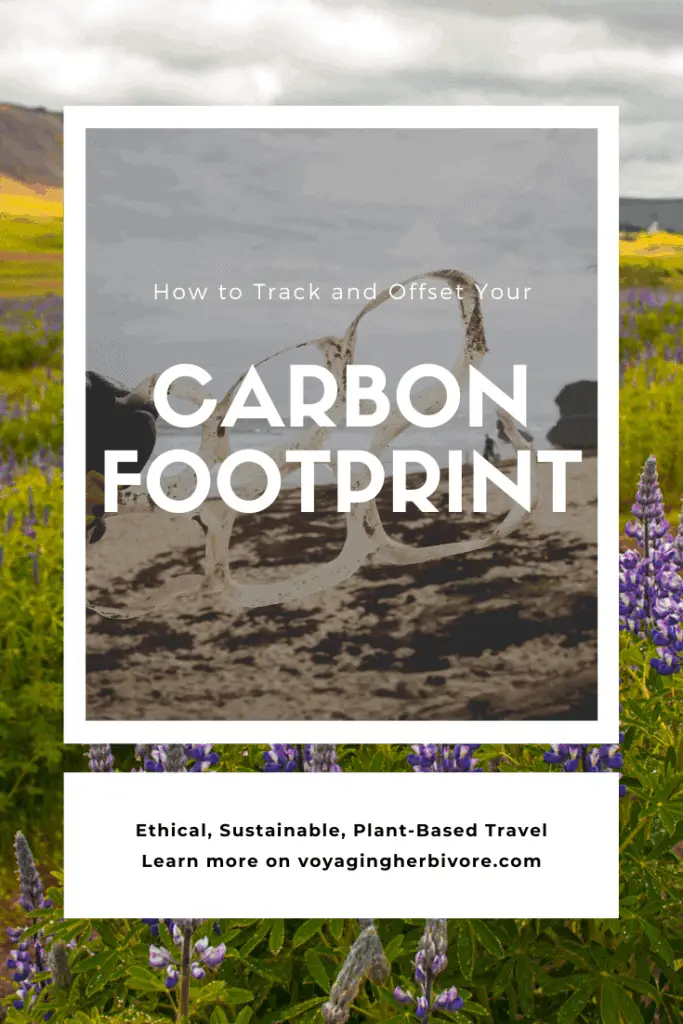 how-to-track-and-offset-your-carbon-footprint-pinterest