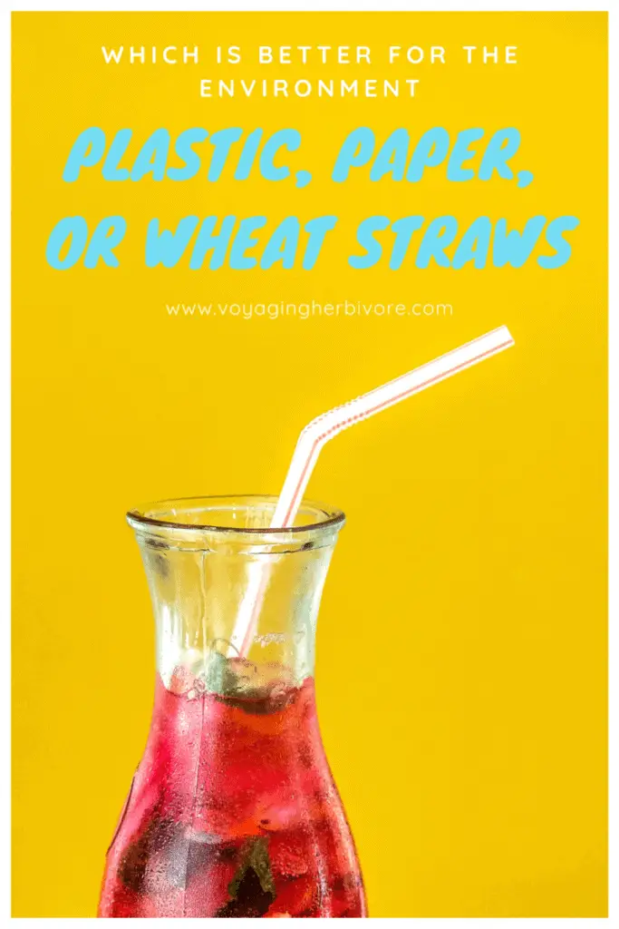 plastic-paper-or-wheat-straws-pinterest