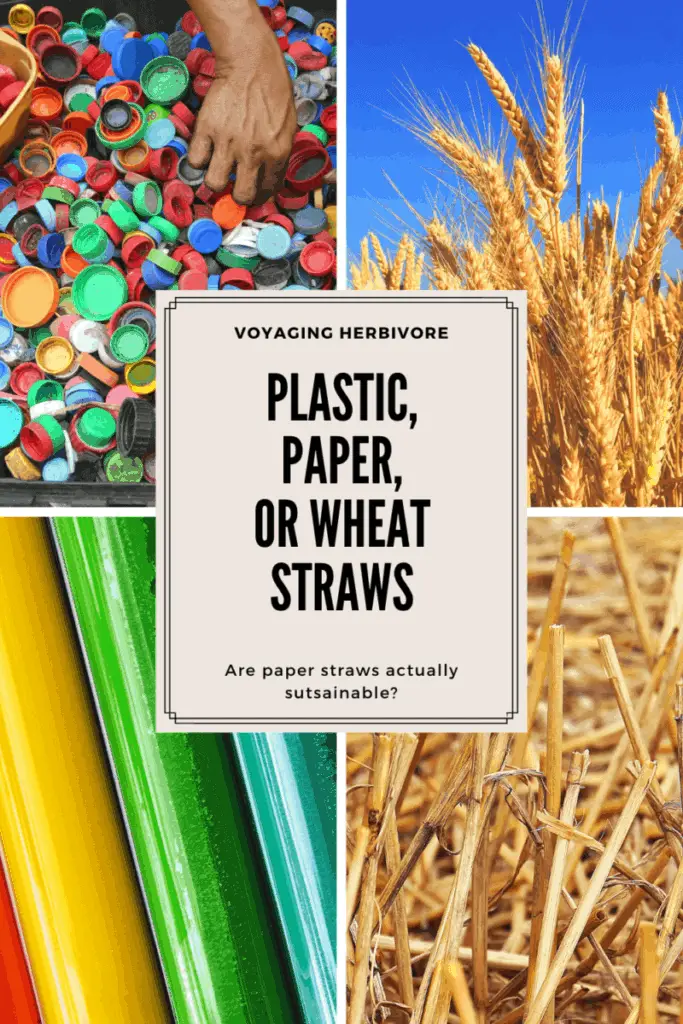 plastic-paper-or-wheat-straws-pinterest