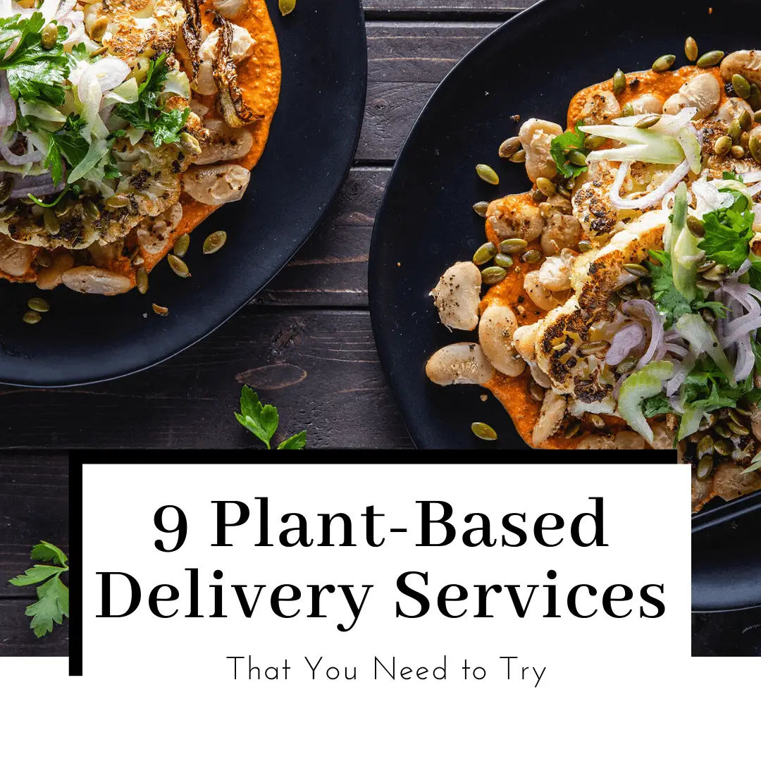9 Vegan Meal Kits Delivery Services to Try Today