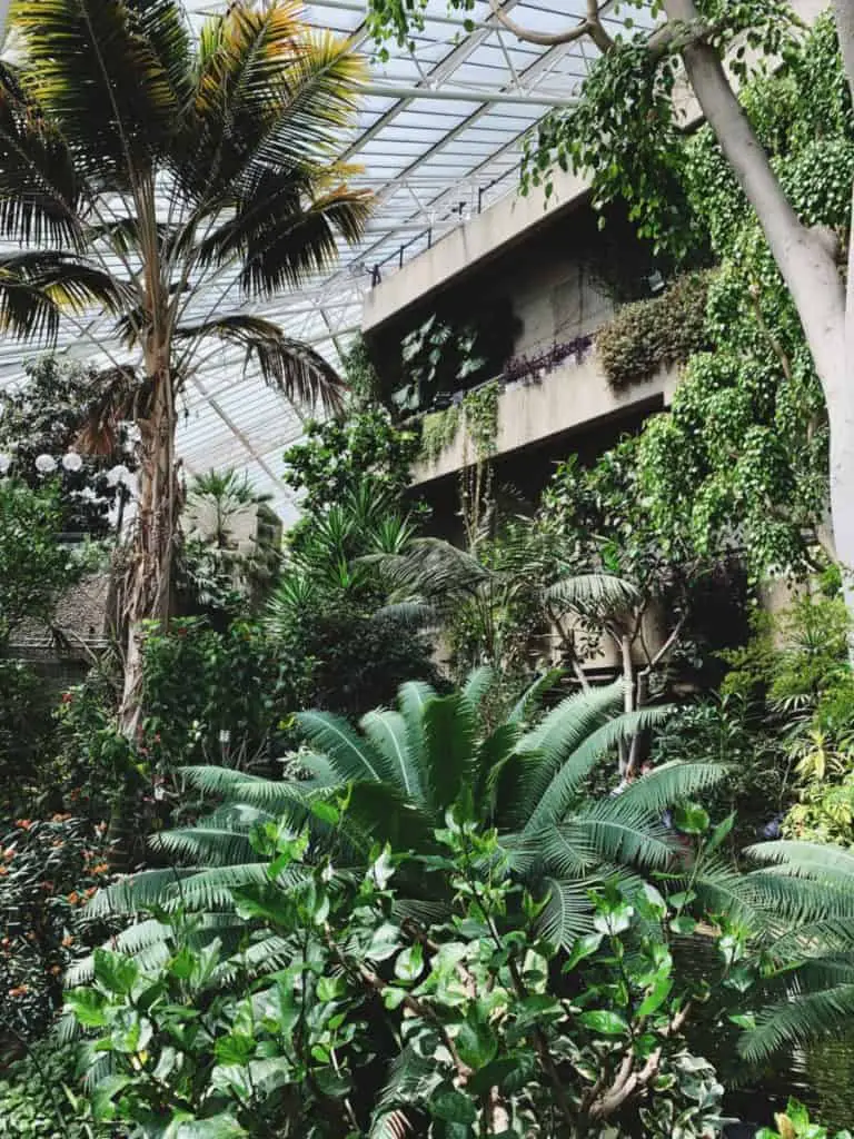 barbican conservatory london stock photo unsplash plants best gardens in london