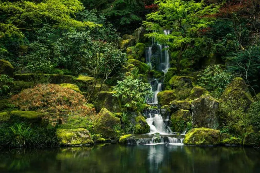 Portland Japanese Gardens amazing garden oregon