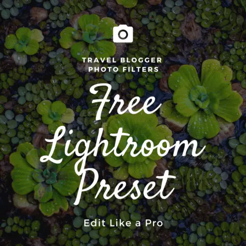 free matte Lightroom preset