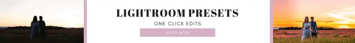 lightroom presets banner ads