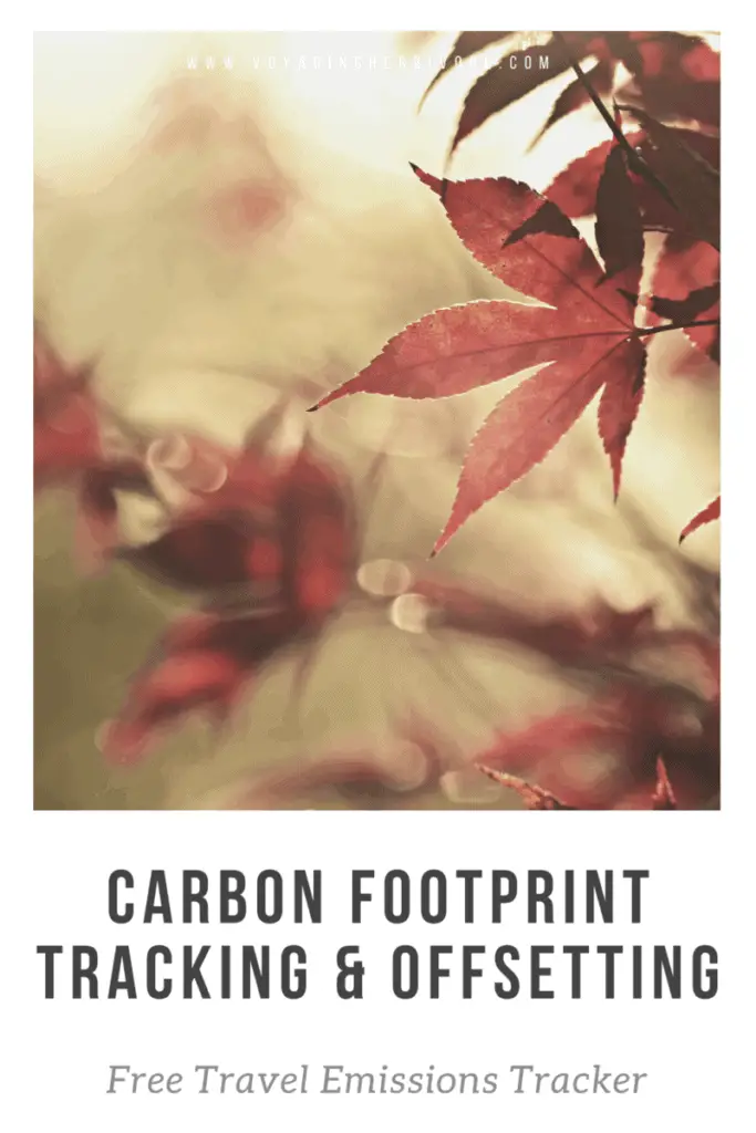 carbon offset flights pinterest how to track and offset your carbon footprint