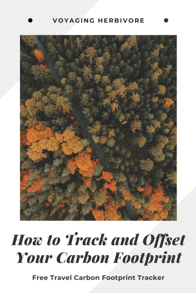 carbon offset flights pinterest how to track and offset your carbon footprint
