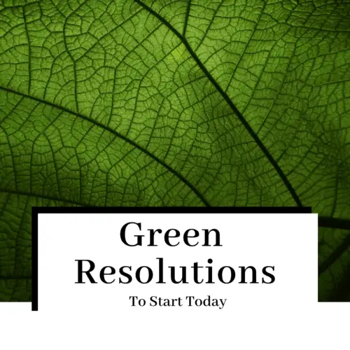 green resolutions featured image