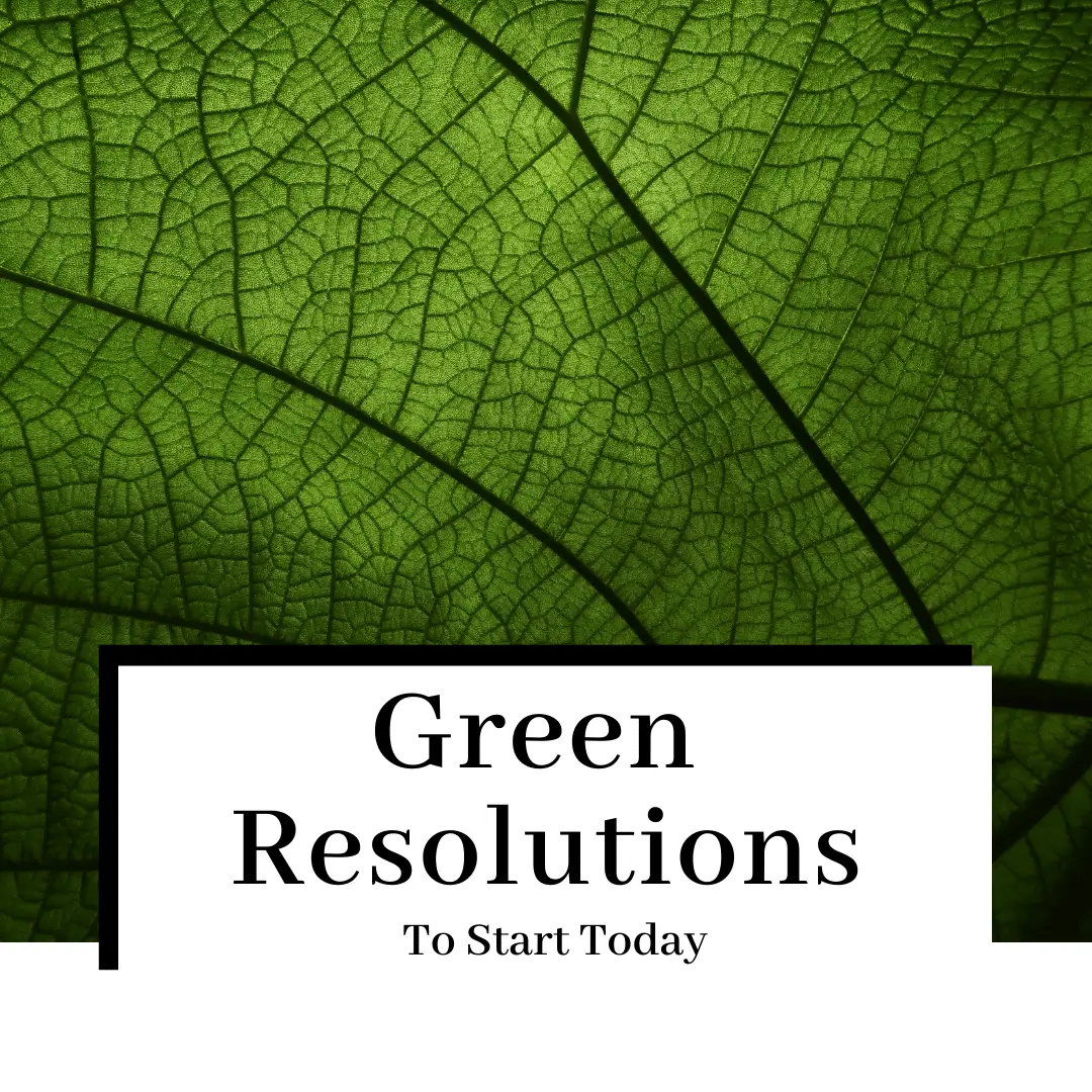 7 EASY Green Resolutions & Eco Brands to Live Sustainably