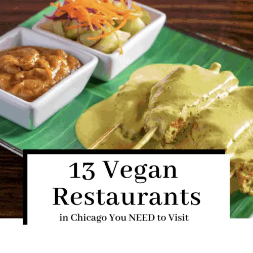 vegan-chicago-restaurant-pinterest-image-featured-image