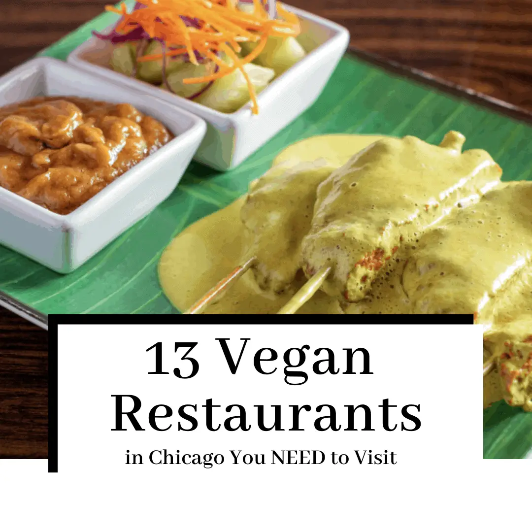 13 Vegan Restaurants in Chicago, IL You NEED to Visit