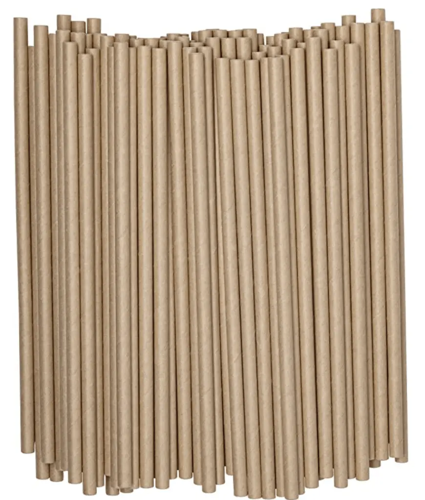 biodegradable and ink free paper straws 200