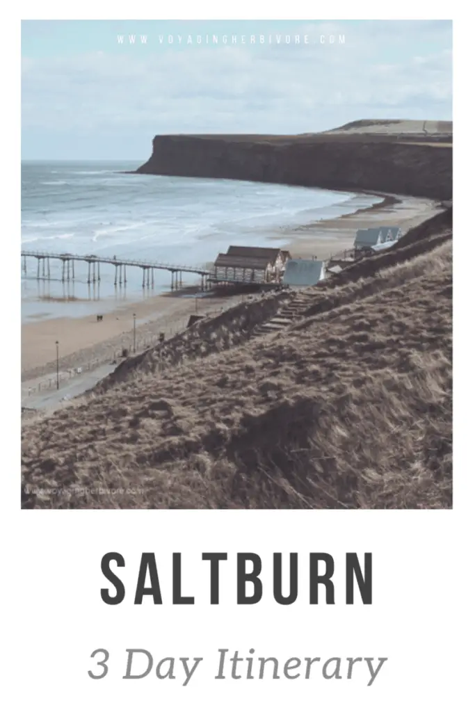 saltburn by the sea itinerary