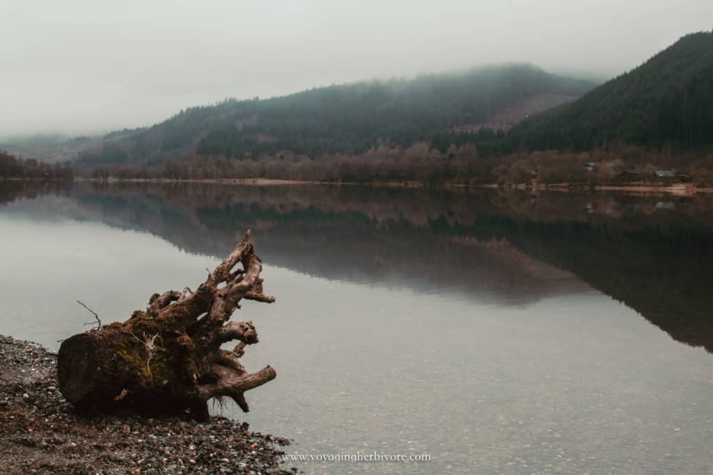 landscape shot of loch lomond scotland on a foggy day