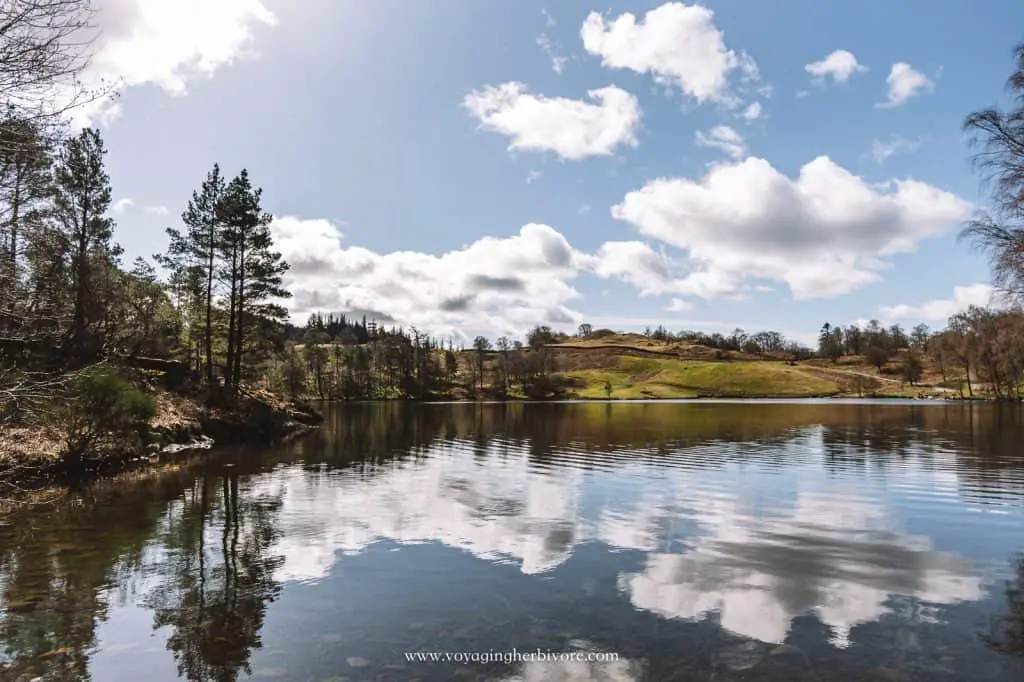 tarn hows lake district attractions
