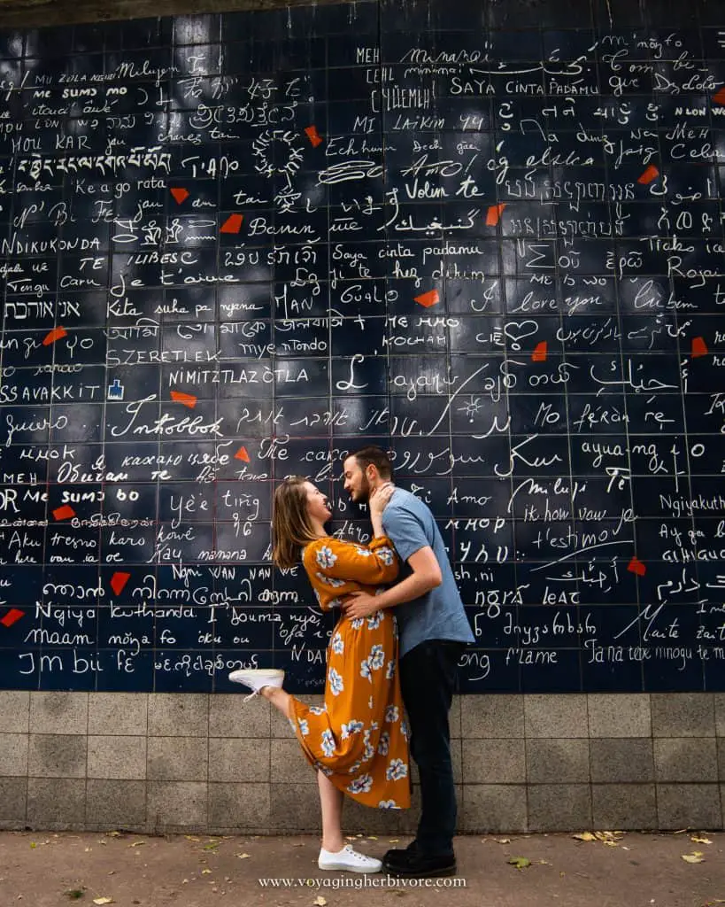 Wall of Love (Le Mur des Je t'aime)