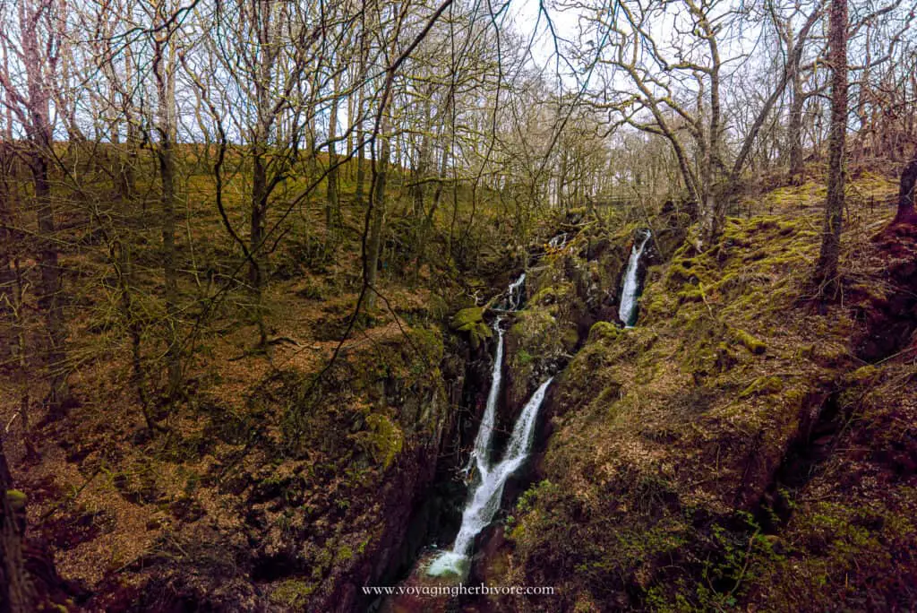 stock ghyll force waterfall ambleside easy lake district walks