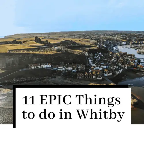 things to do at whitby featured image