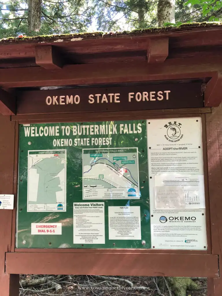 buttermilk falls trailhead okemo state forest