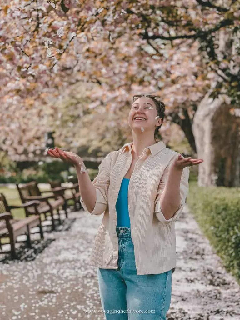 starbank park edinburgh cherry blossoms