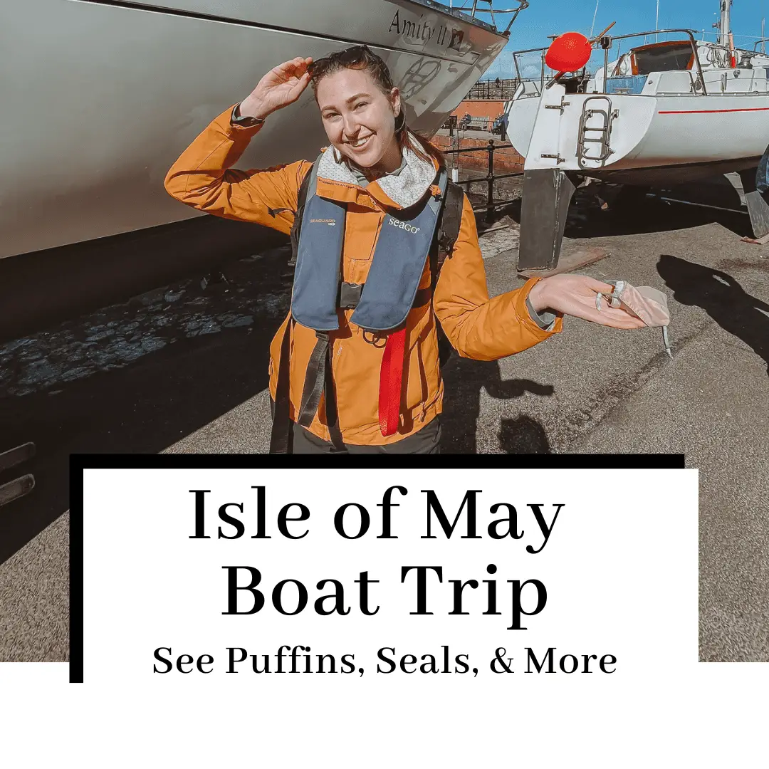 Isle of May Boat Trip: Read This BEFORE Seeing the Puffins