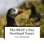 5 day scotland tours from edinburgh with puffinsfeatured image