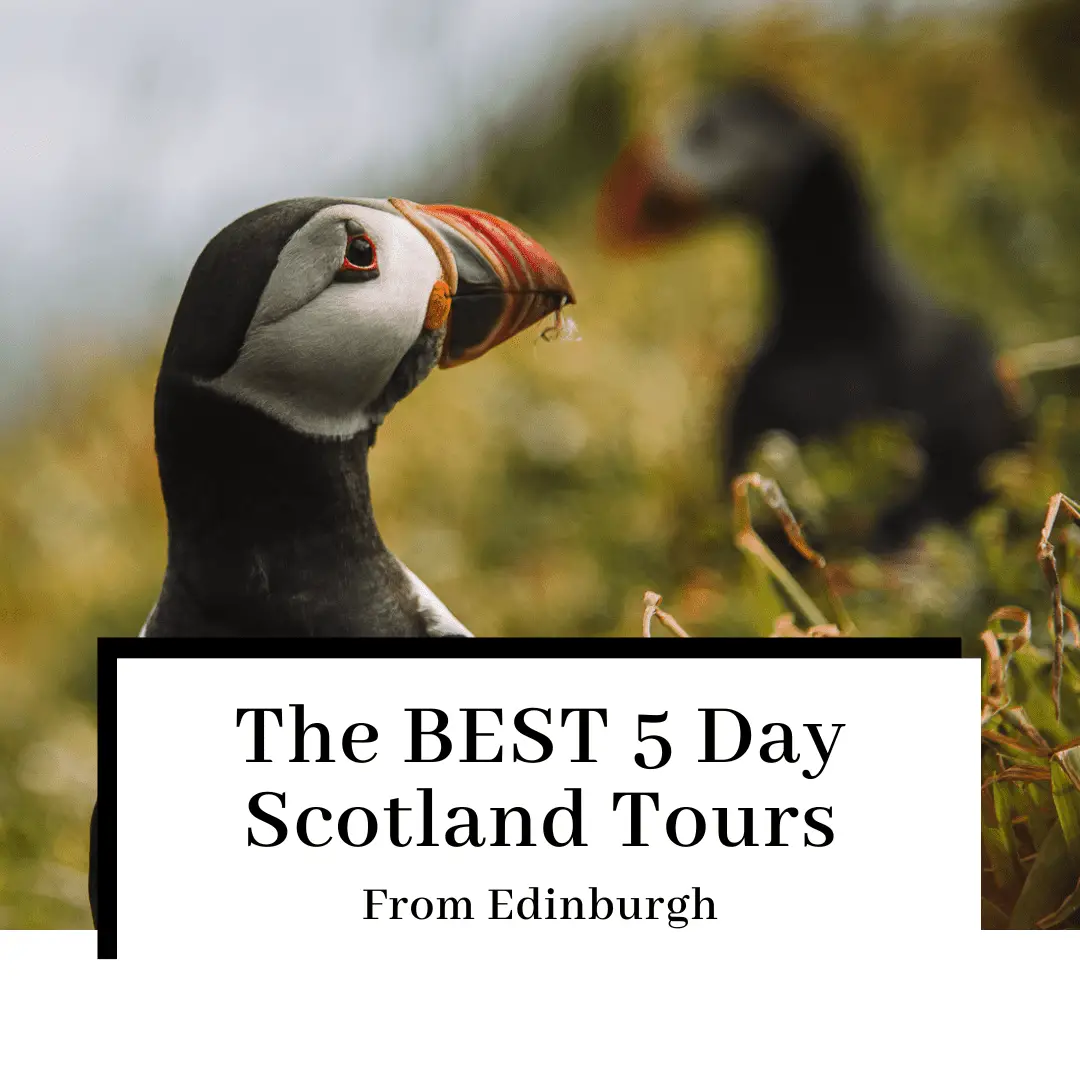 The BEST 5 Day Scotland Tours From Edinburgh
