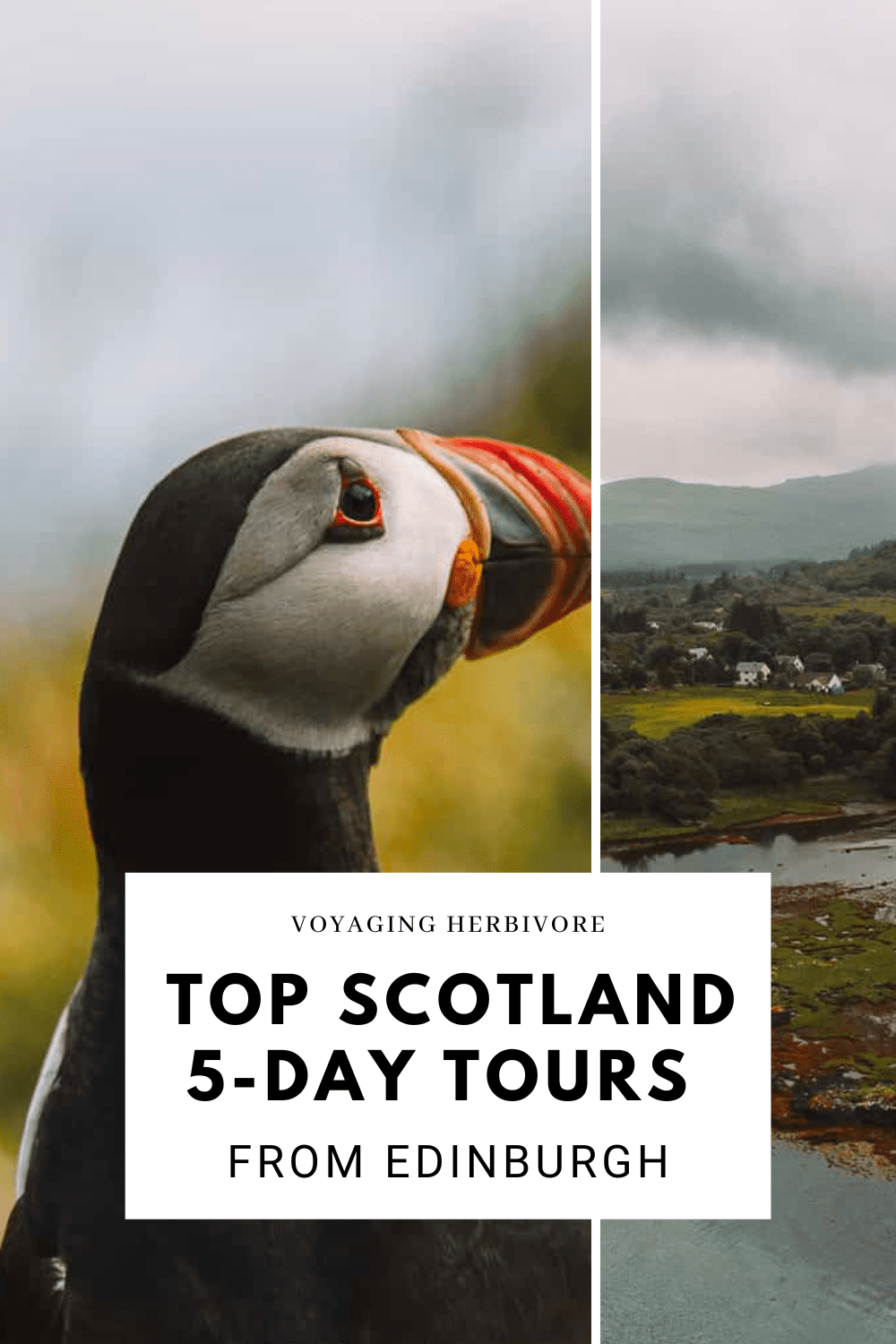 best-scotland-tours