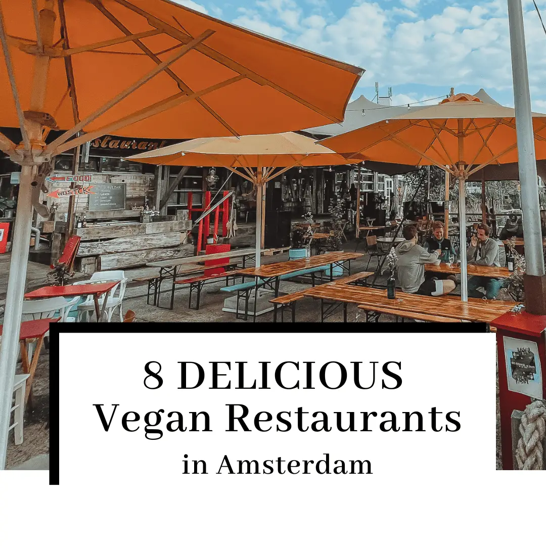 8 DELICIOUS Vegan Restaurants in Amsterdam