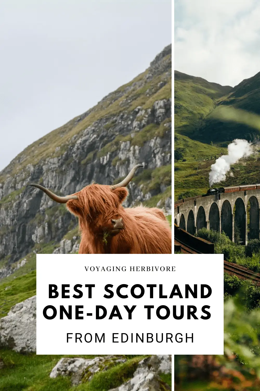best-one-day-tour-scotland