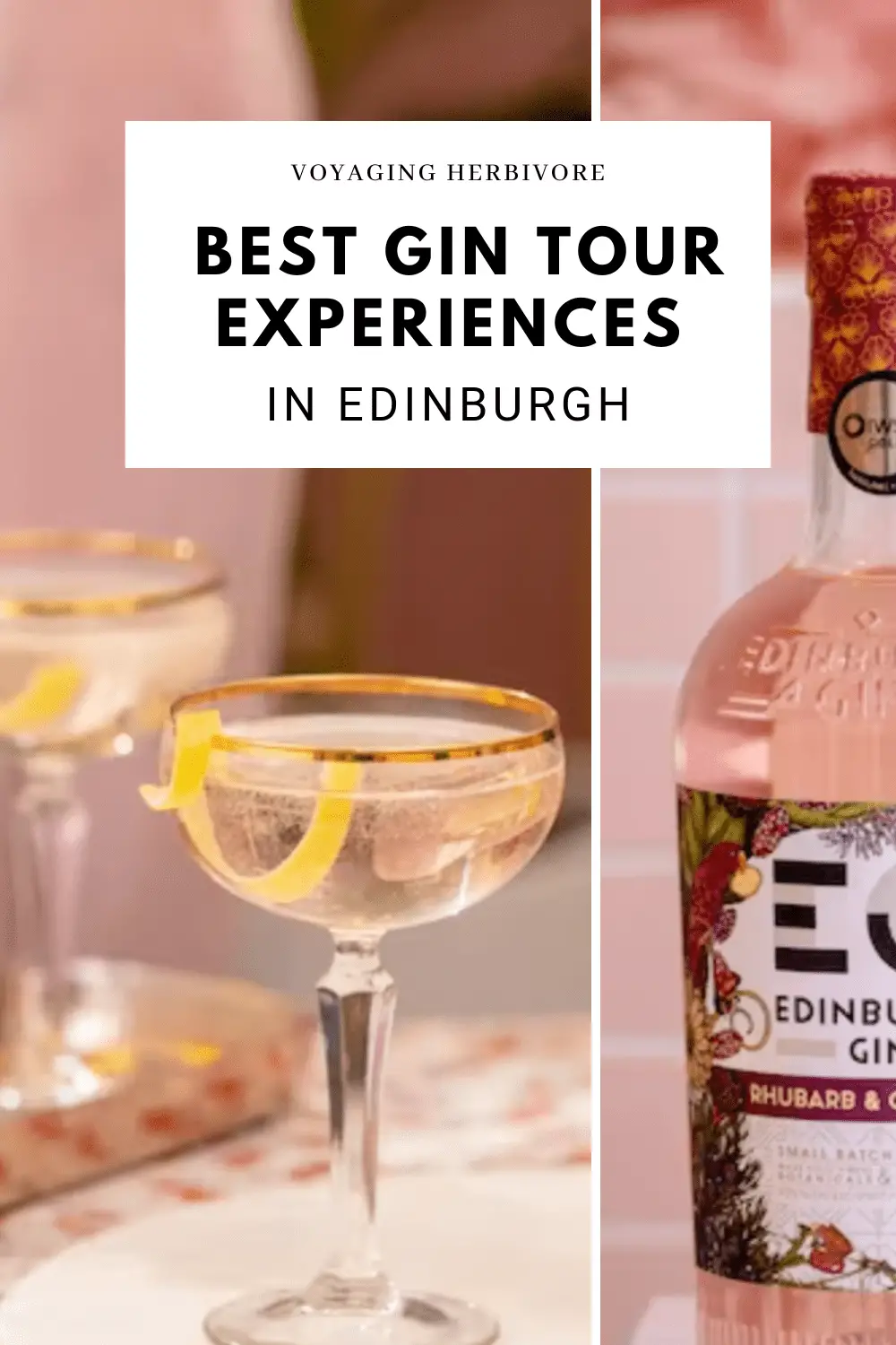 edinburgh-gin-tasting-tour