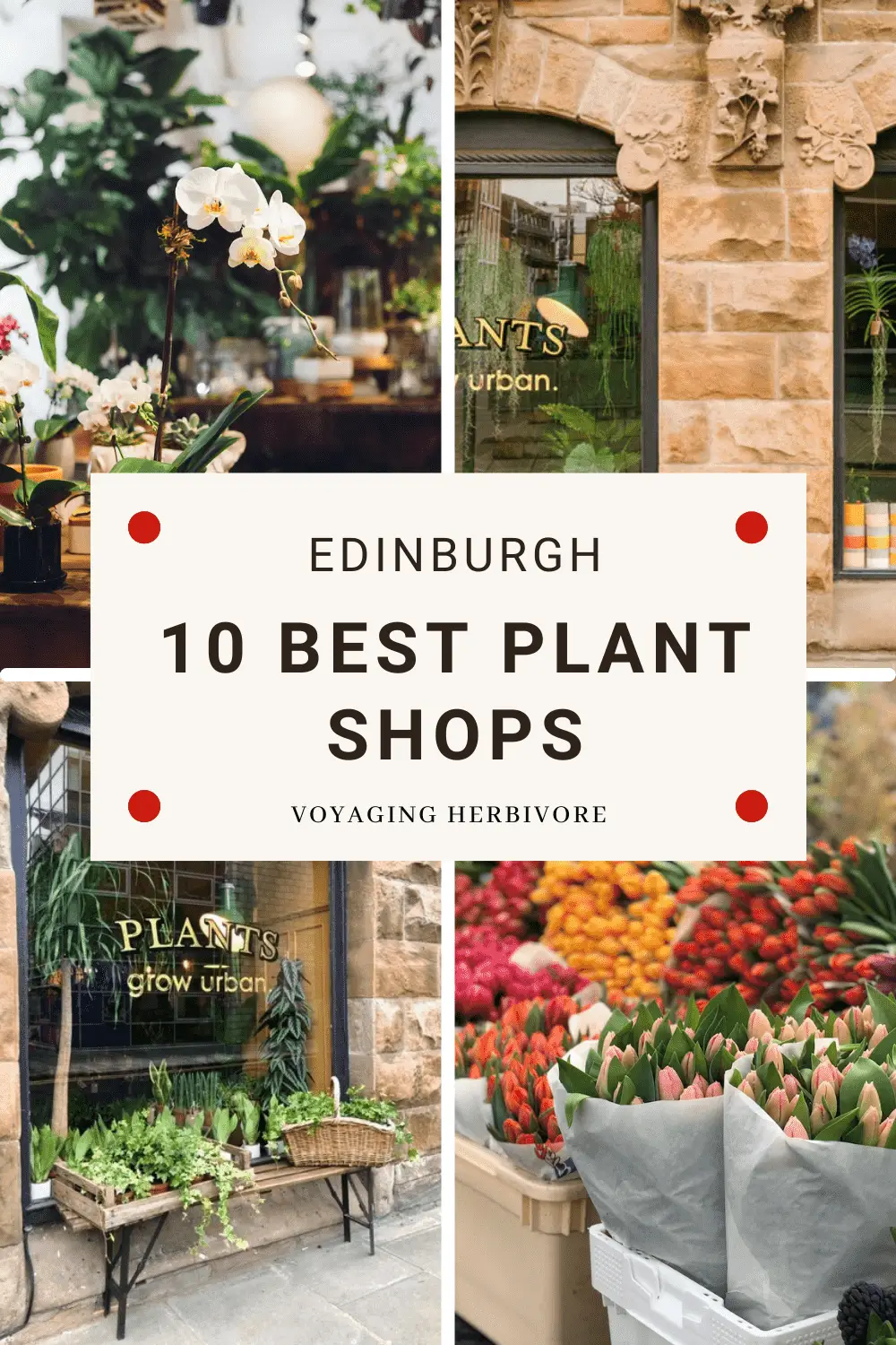 best-flower-and-plant-shops-in-edinburgh