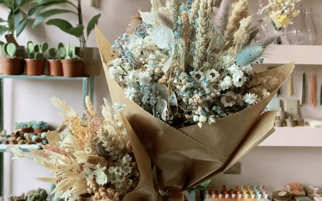 10 INCREDIBLE Plant Shops in Edinburgh Voyaging Herbivore