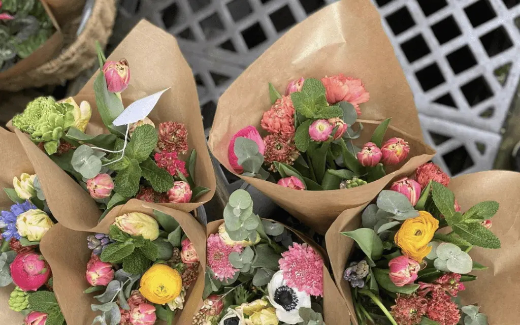 10 INCREDIBLE Plant Shops in Edinburgh Voyaging Herbivore