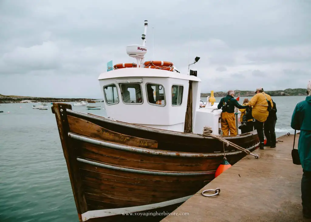 fingal's cave staffa island boat tour puffin tours in scotland