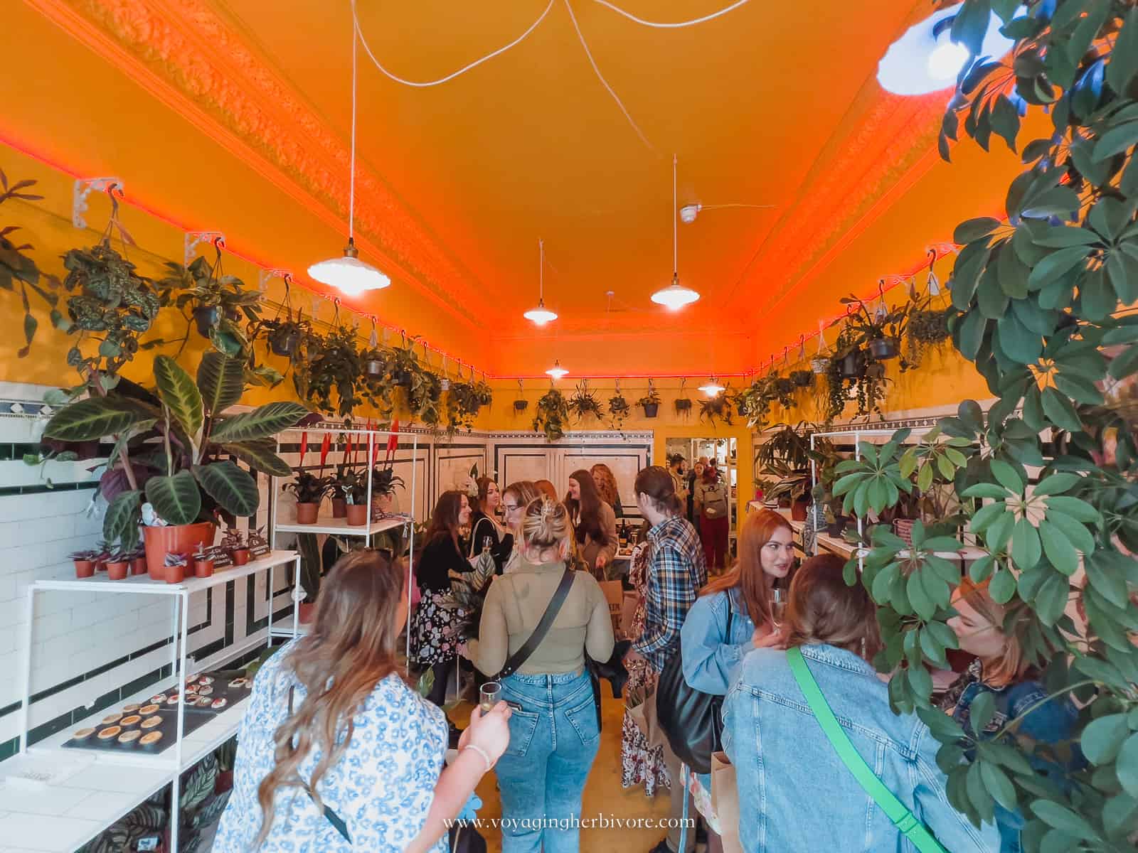 10 INCREDIBLE Plant Shops in Edinburgh Voyaging Herbivore