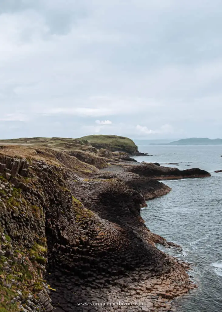 fingal's cave staffa island boat tour puffin tours in scotland