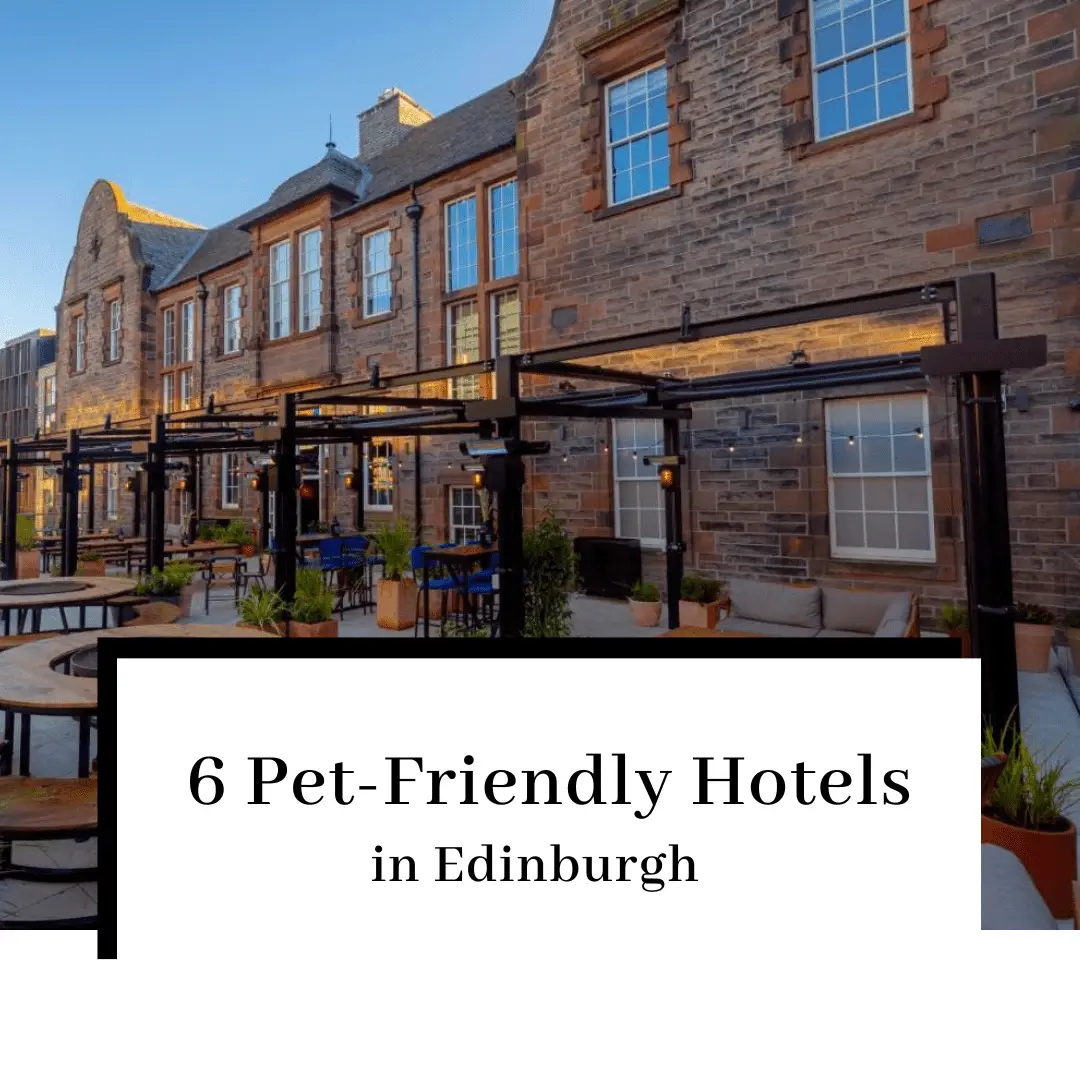 6 Dog-Friendly Hotels in Edinburgh Your Pooch Will Love!