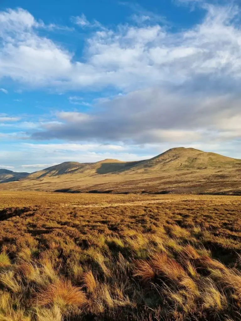 Scald Law, South Black Hill, East Kip, West Kip and Hare Hill hiking pentlands