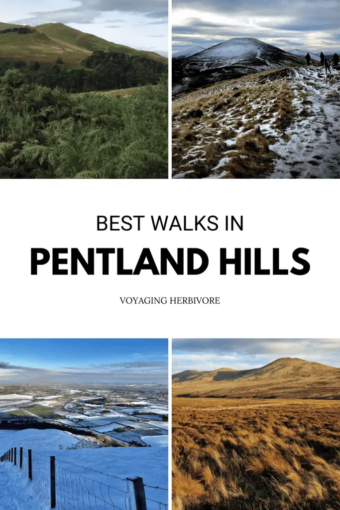 10 Walks in the Pentlands You Can Try This Weekend