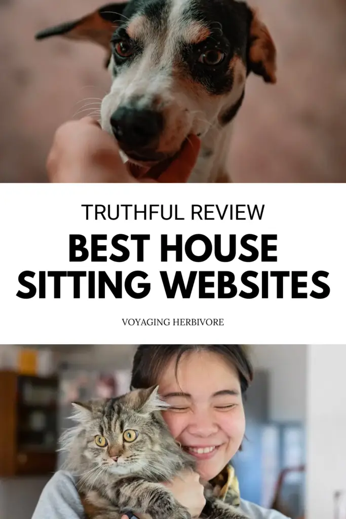 Best House Sitting Websites