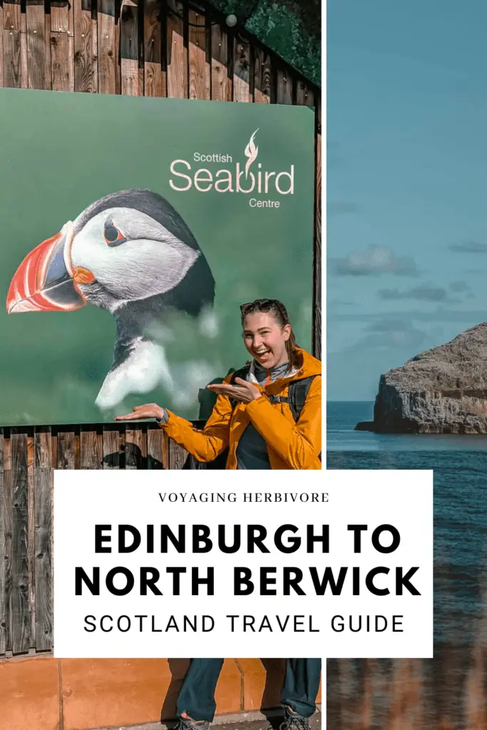 Edinburgh to North Berwick: A Day Trip with Puffins & Castles
